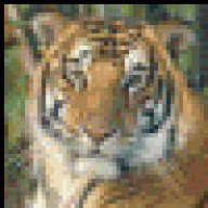 Tigerlover